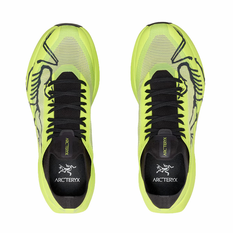 Arc'teryx Men's Sylan 2 Shoe (Mantis/Mantis) - August Shop