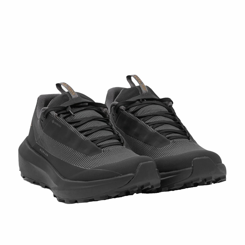 Arc'Teryx Norvan LD 4 GTX (Black/Black) - August Shop
