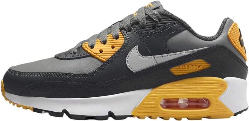 Big Kid's Air Max 90 Smoke Grey/ Lt Smoke Grey (HF6358 004)