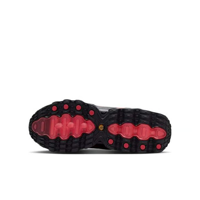 Big Kid's Air Max DN8 Royal Tint/Black (HF7310 400)