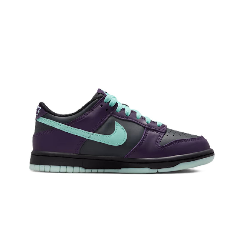 Big Kid's Dunk Low DK Smoke Grey/Artisan Teal (FB9109 013)