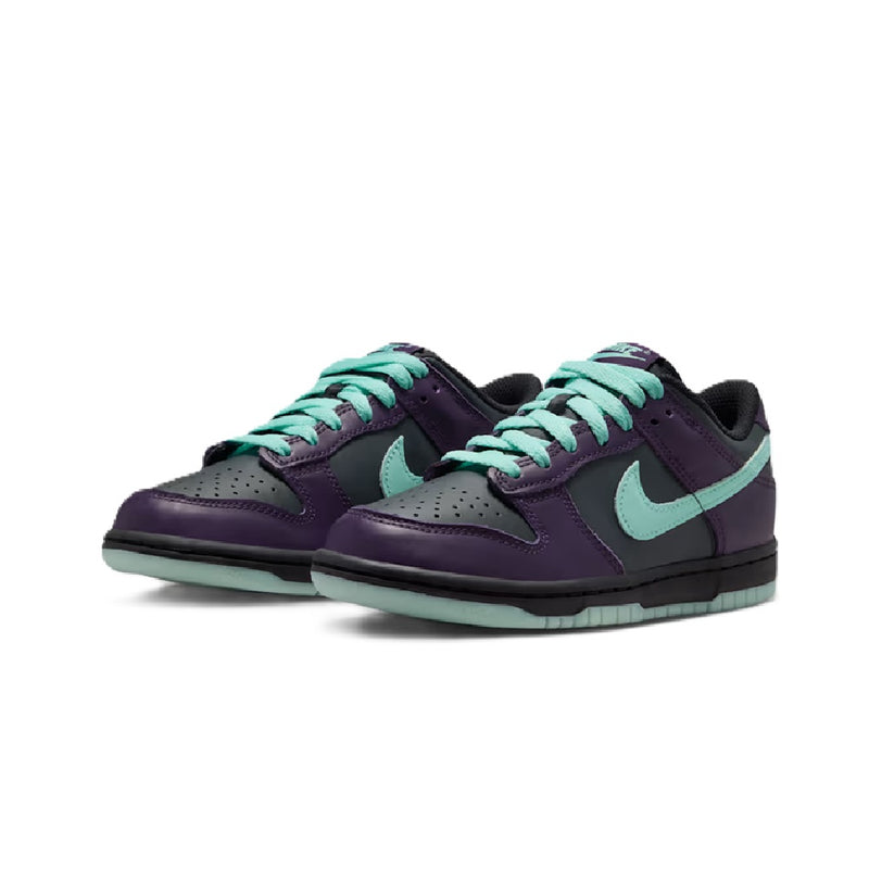 Big Kid's Dunk Low DK Smoke Grey/Artisan Teal (FB9109 013)