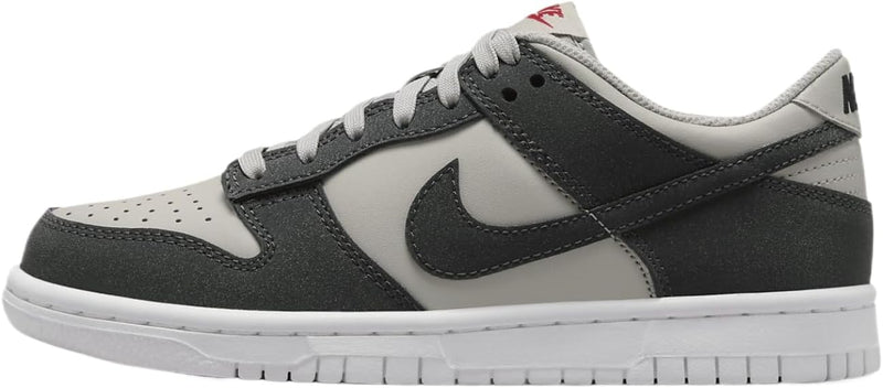 Big Kid's Dunk Low HF LT Iron Ore/Anthracite-White (FZ1000 001)