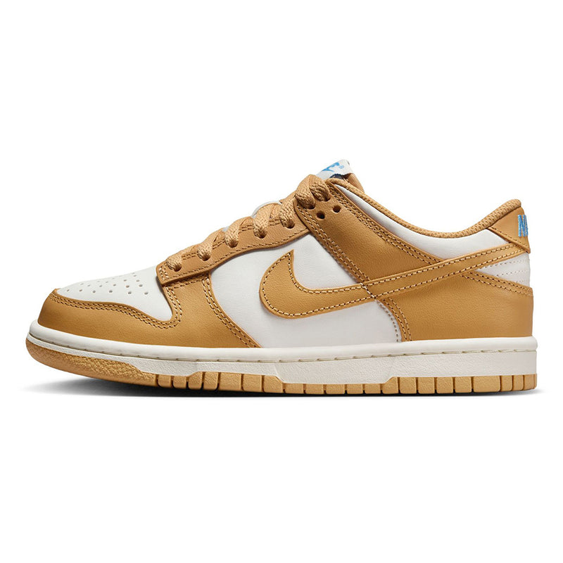 Big Kid's Dunk Low Honeycomb/Honeycomb Sail (FB9109 700)