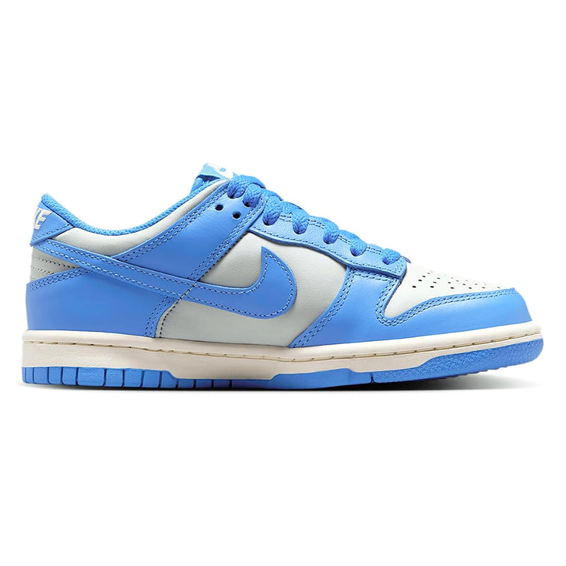 Big Kid's Dunk Low Light Silver/LT Photo Blue (FB9109 004)