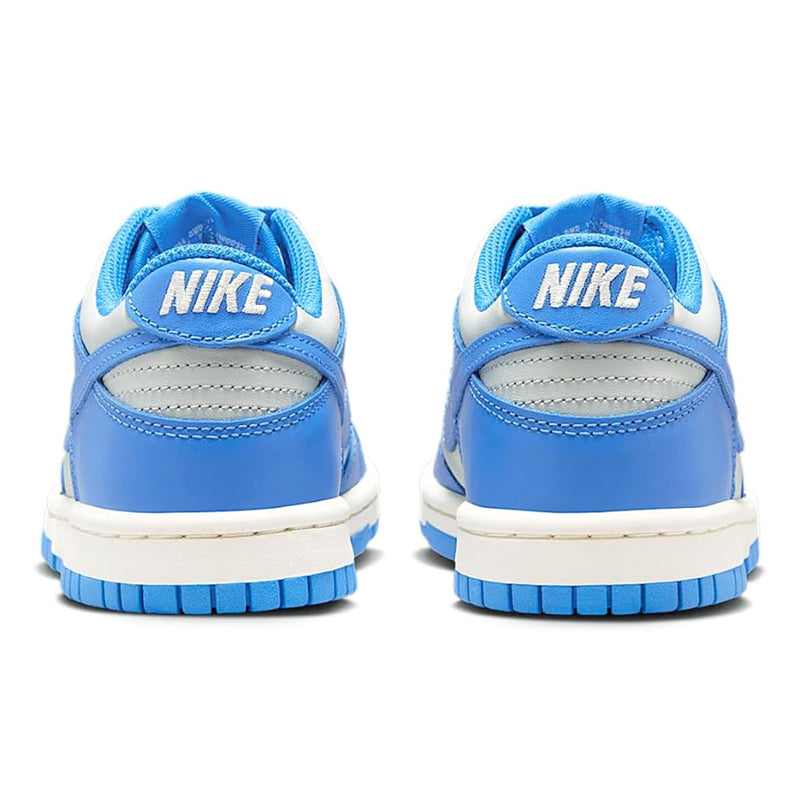 Big Kid's Dunk Low Light Silver/LT Photo Blue (FB9109 004)