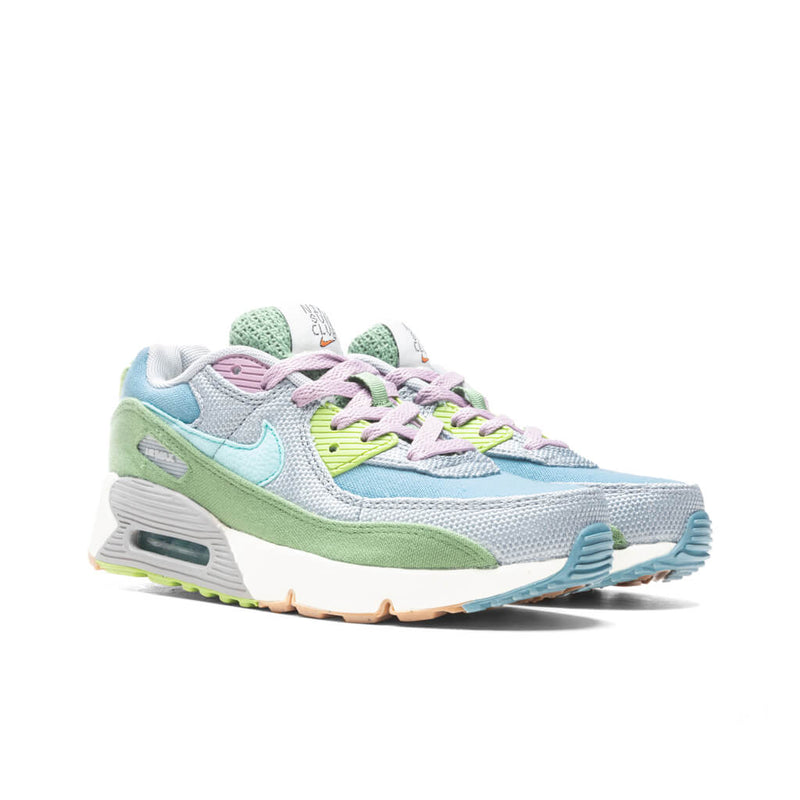 Little Kid's Air Max 90 SE1 Worn Blue/Copa-Wolf Grey (DQ4017 400)
