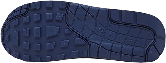 Men's Air Max 1 86' PRM LT. Smoke Grey/Diffused Blue (DV7525 001)