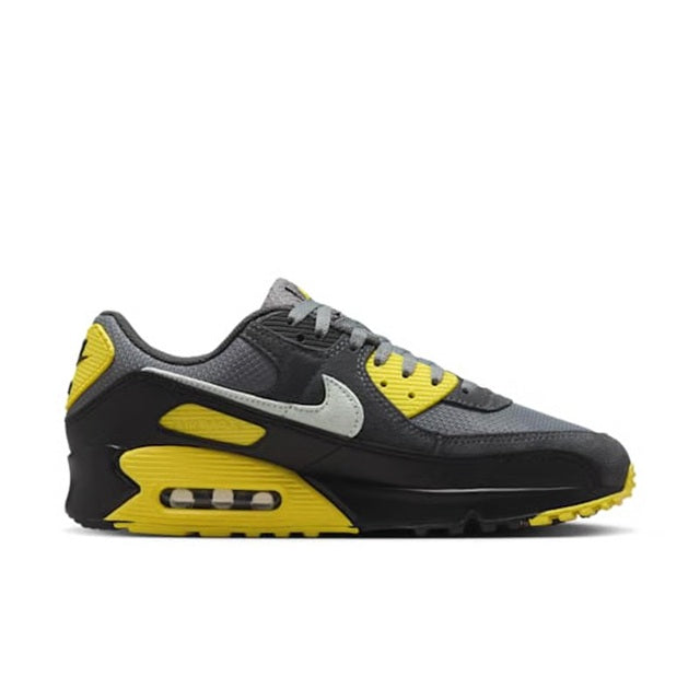 Men's Air Max 90 Smoke Grey/Light Silver (DM0029 016)