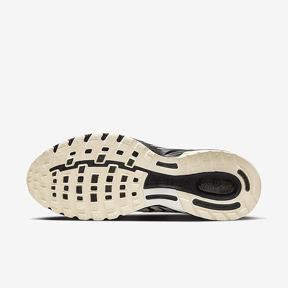 Men's Air Pegasus 2005 Pale Ivory/Metallic Silver (HQ5403 102)