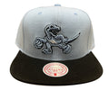 Mitchell & Ness Bl/Blk NBA Toronto Raptors Uni Away 2 Tone HWC Snapback - OSFA