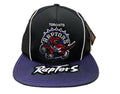 Mitchell & Ness Blk/Purpl NBA Toronto Raptors Freethrow HWC Snapback Hat - OSFA