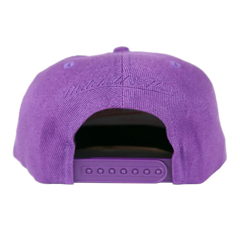 Mitchell & Ness NBA Purple Phoenix Suns Tonal Eclipse HWC Snapback - OSFA