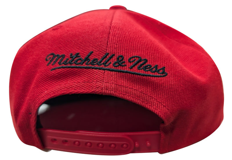 Mitchell & Ness Red/Black NBA Toronto Raptors Team Reflective Snapback - OSFA