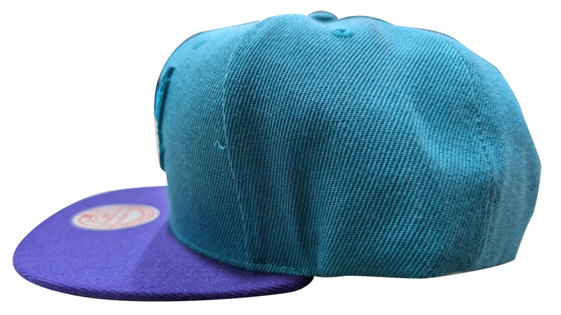 Mitchell & Ness Teal/Prpl NBA Charlotte Hornets Team Reflective Snapback - OSFA