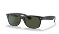 NEW WAYFARER CLASSIC(2286)
