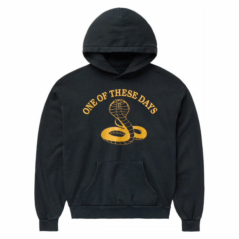 One Of These Days Cobra Hooded Sweatshirt (Washed Black) - August Shop