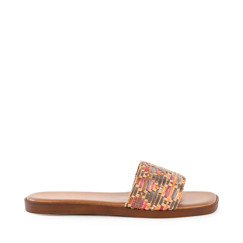 Palm Oasis Slide