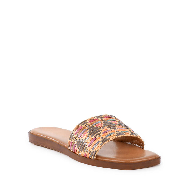 Palm Oasis Slide