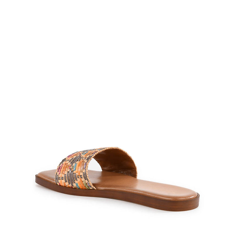 Palm Oasis Slide
