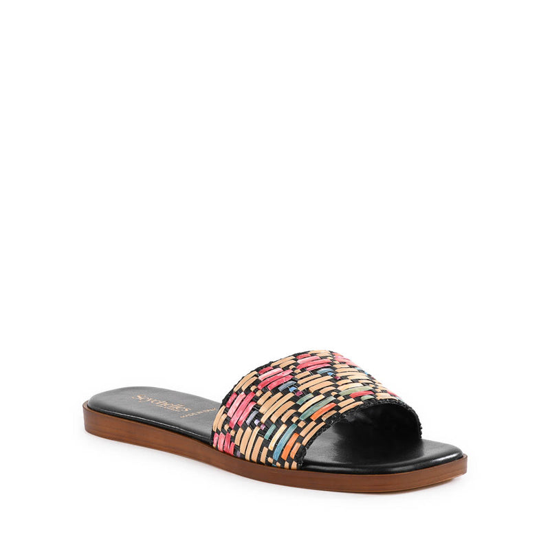 Palm Oasis Slide