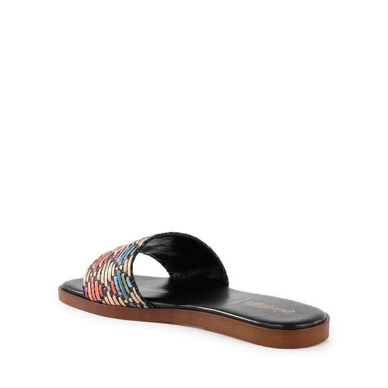 Palm Oasis Slide