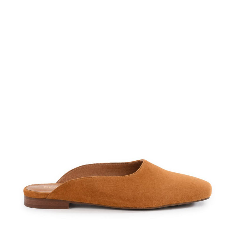 Prim And Proper Mule