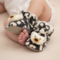 Tady new born