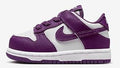Toddler's Dunk Low White/Viotech-White (FB9107 110)