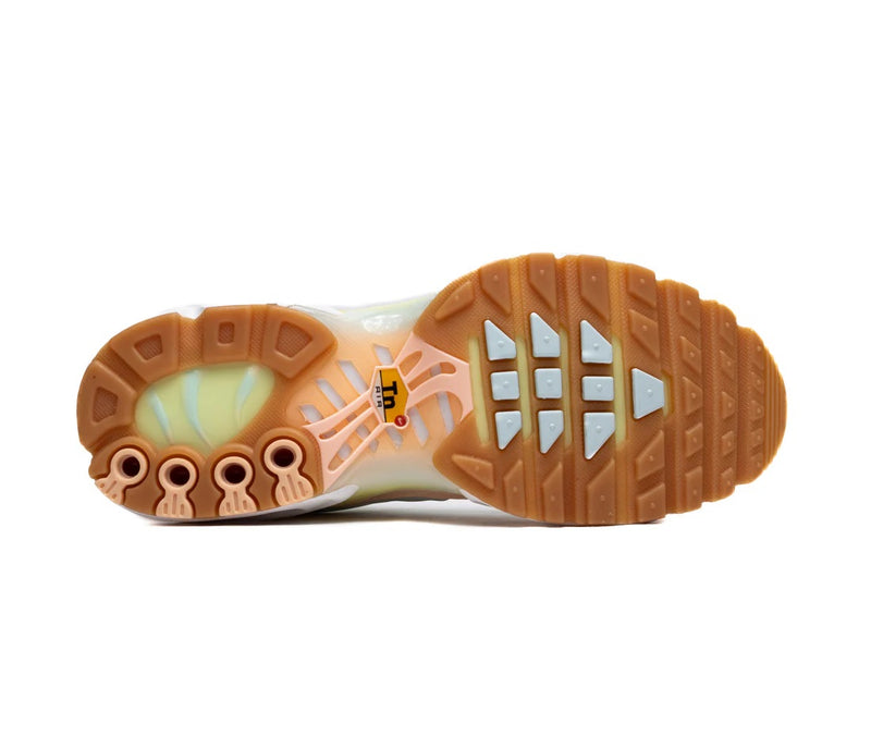 Women's Air Max Plus Crimson Tint/Glacier Blue (DZ3671 800)