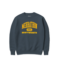 WORLDWIDE FAVORITE HEAVYWEIGHT HOODIE NAVY